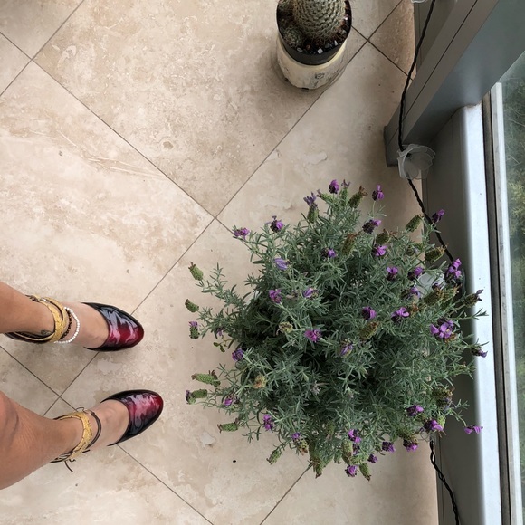 Platform strapy heel - Picture 3 of 7